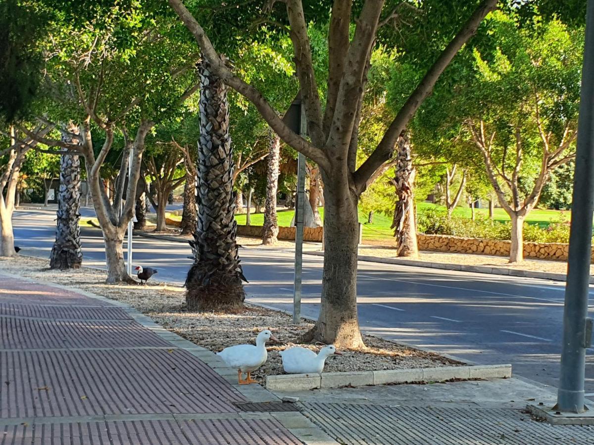 Md Cheap'N Chic Alicante Mutxamel Exterior foto